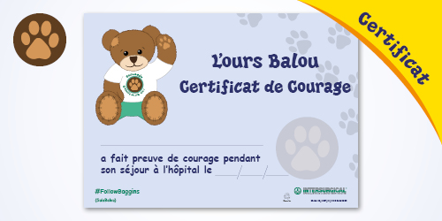 explore-Baggins-the-Bear-images-certificate-FR.jpg